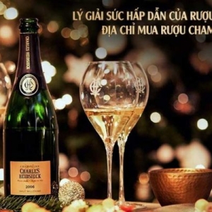 ly-giai-suc-hap-dan-cua-ruou-champagne